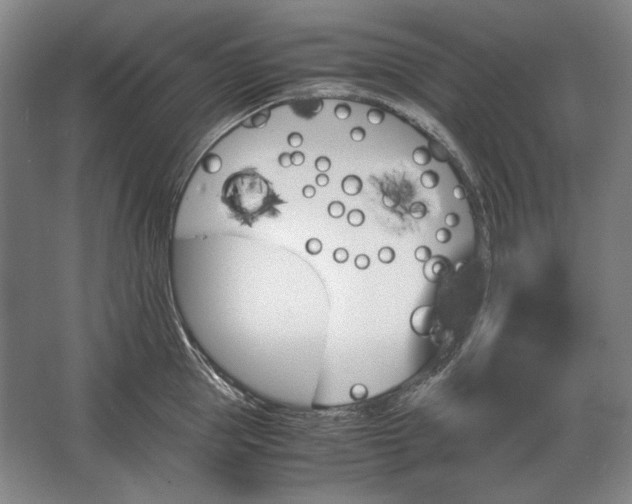 X0000062920953200601271802