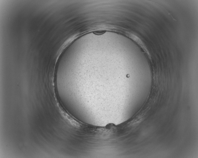 X0000062920954200601271802