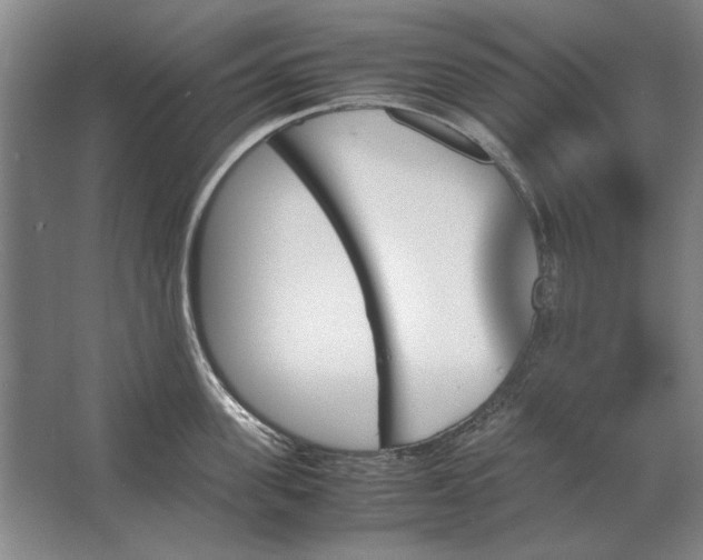 X0000062920955200601271802