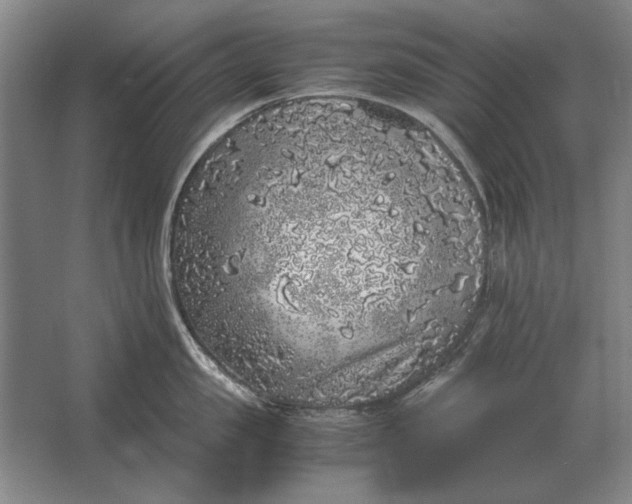 X0000062920957200601271802