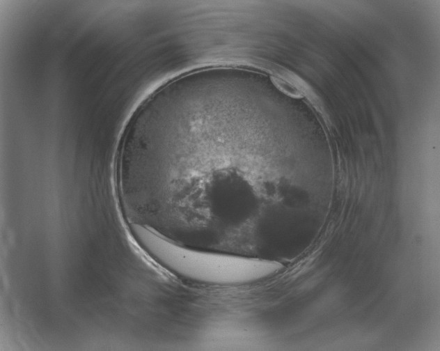 X0000062920958200601271802