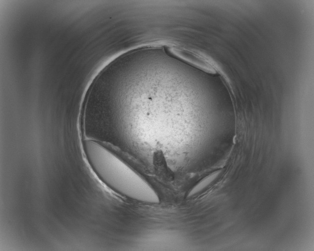 X0000062920959200601271802