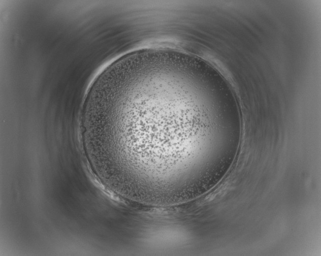 X0000062920960200601271802