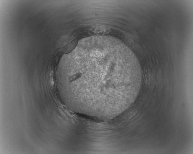 X0000062920962200601271801