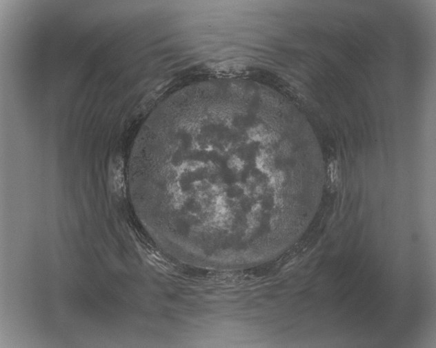 X0000062920963200601271801