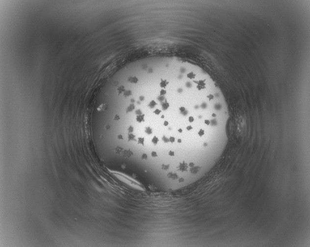 X0000062920964200601271801