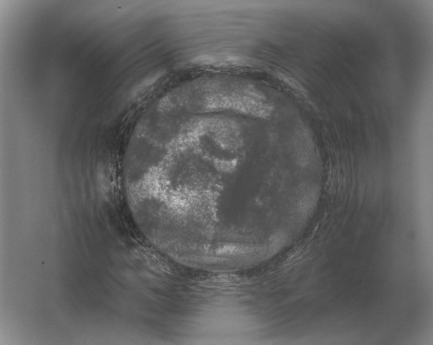 X0000062920966200601271801