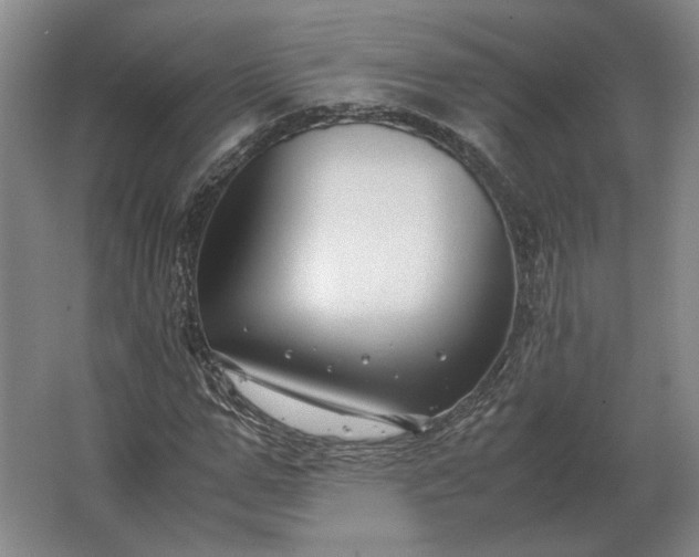 X0000062920967200601271801