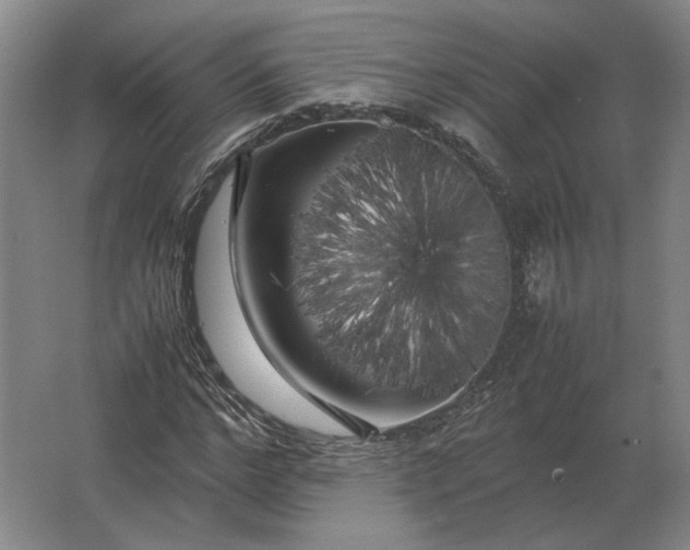 X0000062920968200601271801