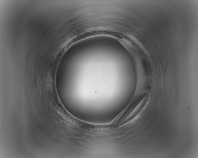 X0000062920969200601271801