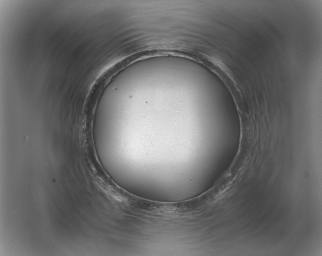 X0000062920971200601271801