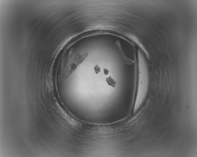 X0000062920972200601271801