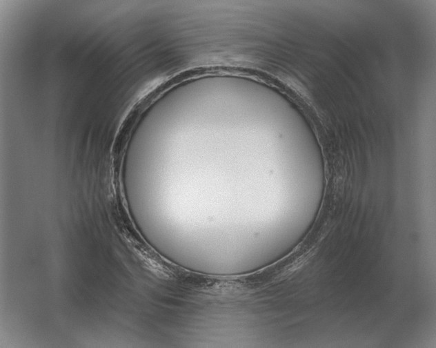 X0000062920974200601271801