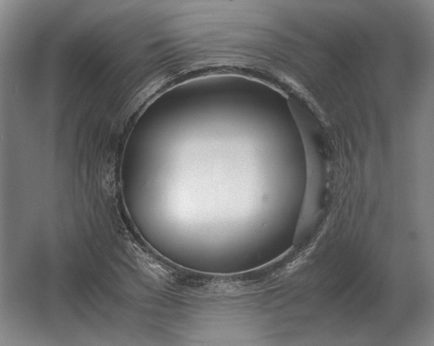 X0000062920977200601271801