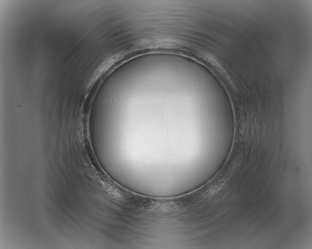 X0000062920978200601271801