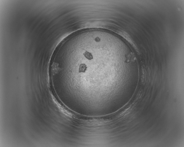 X0000062920980200601271801