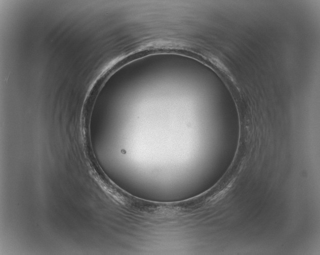 X0000062920981200601271801