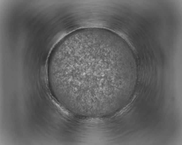 X0000062920982200601271801