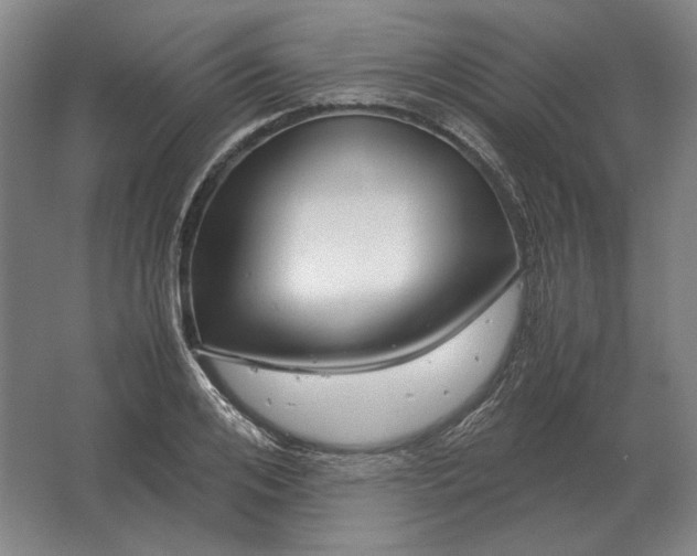 X0000062920984200601271801