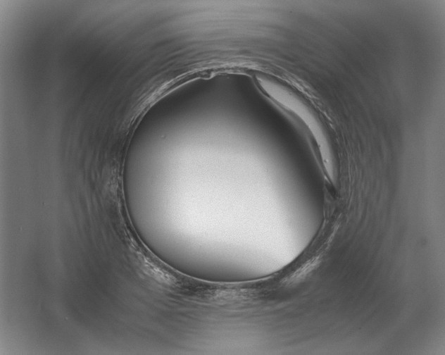 X0000062920985200601271801