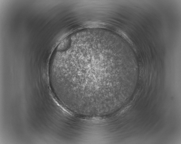 X0000062920986200601271801