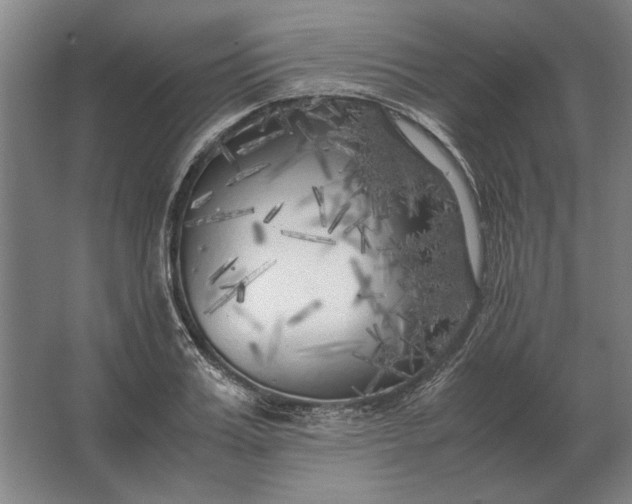 X0000062920987200601271801