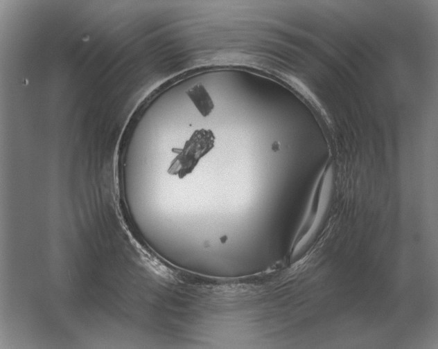 X0000062920988200601271801