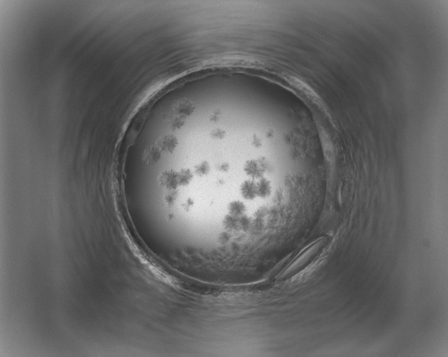 X0000062920989200601271801