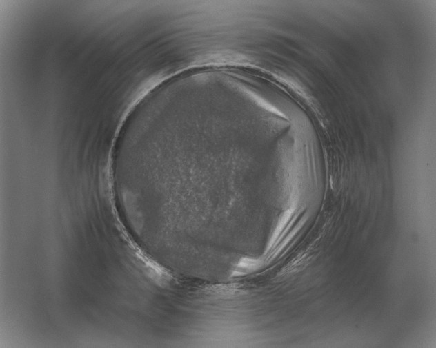 X0000062920990200601271801