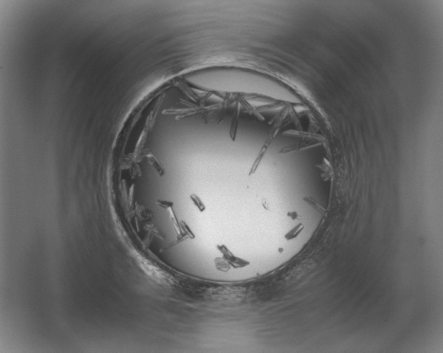 X0000062920991200601271801