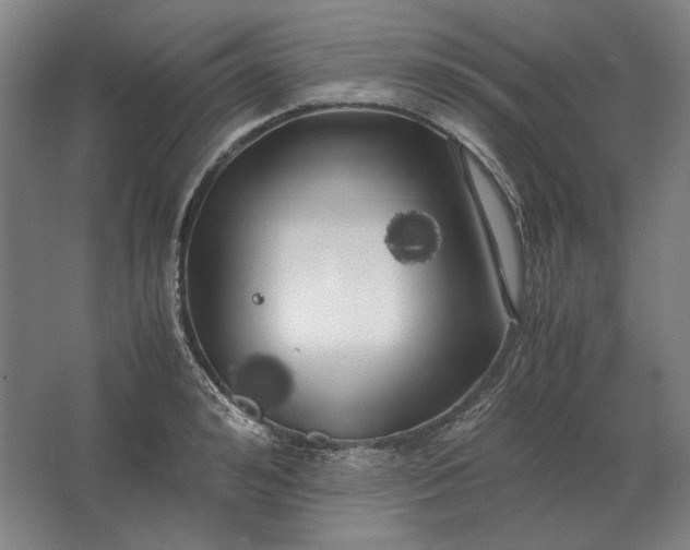 X0000062920992200601271800