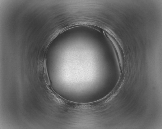 X0000062920993200601271800