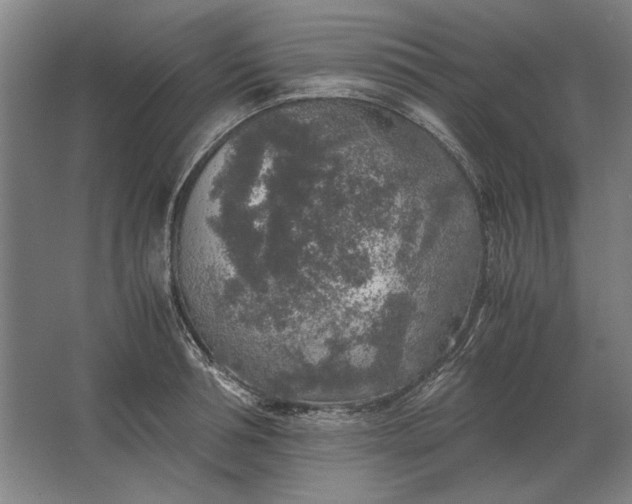 X0000062920994200601271800