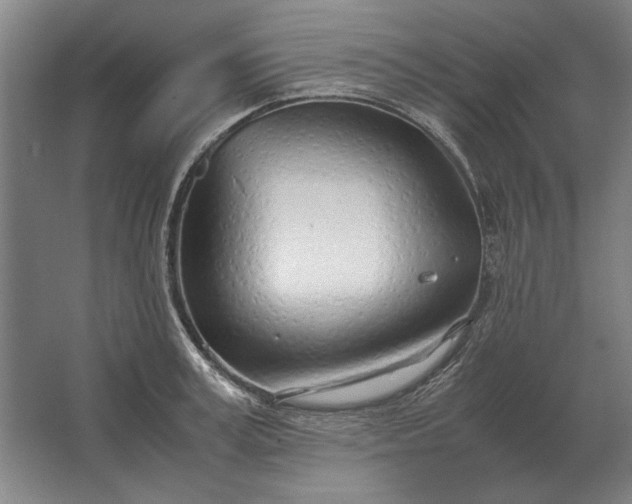 X0000062920995200601271800