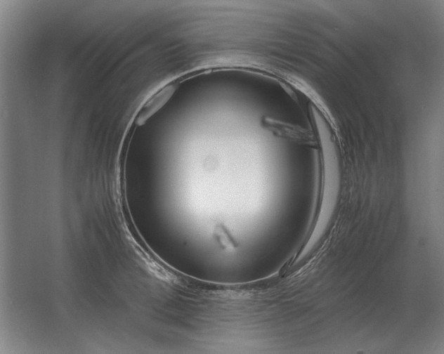 X0000062920996200601271800