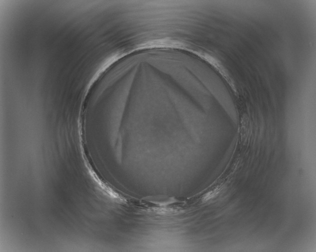 X0000062920998200601271800