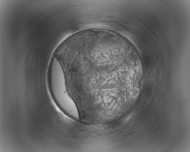 X0000062920999200601271800