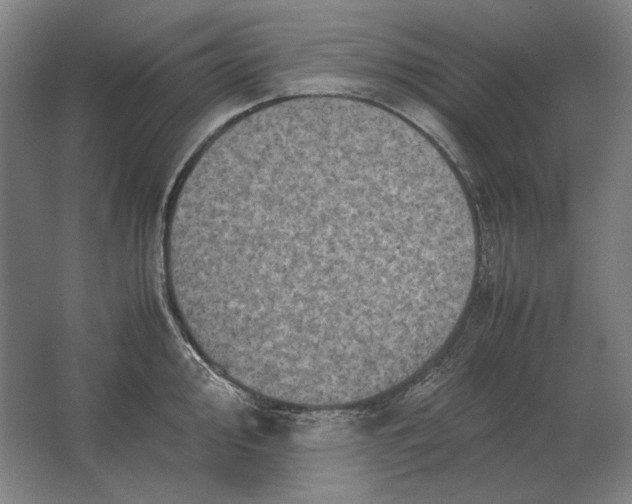 X0000062921000200601271800