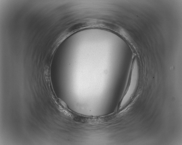 X0000062921001200601271800