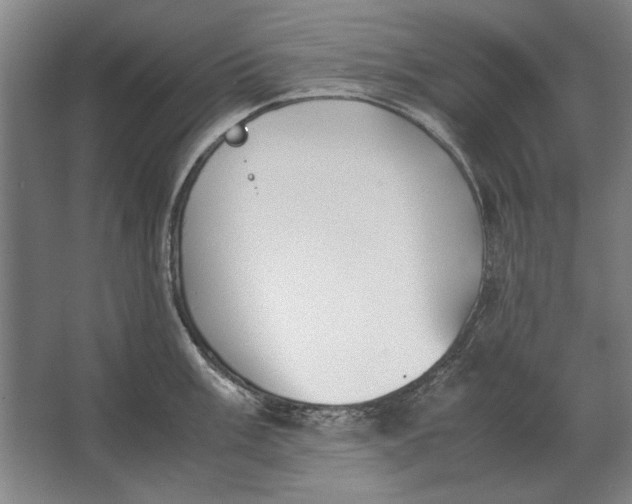 X0000062921003200601271800