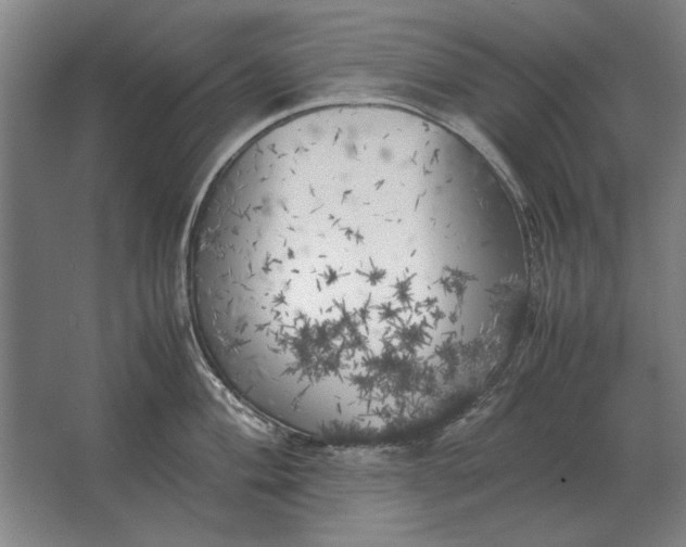 X0000062921004200601271800