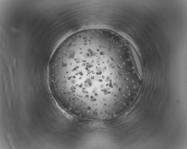 X0000062921006200601271800