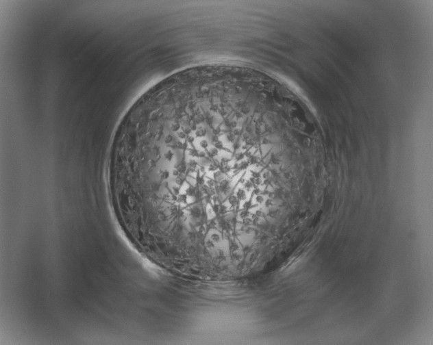 X0000062921007200601271800