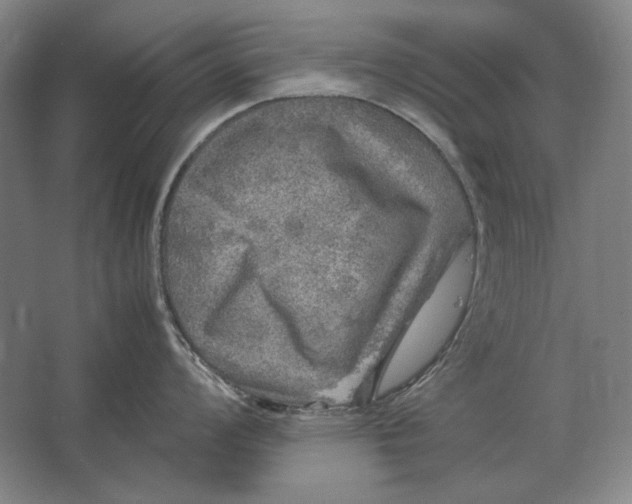 X0000062921008200601271800