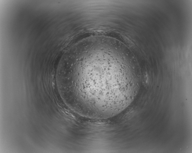 X0000062921010200601271759