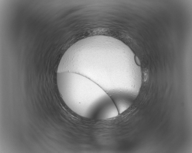 X0000062921011200601271759