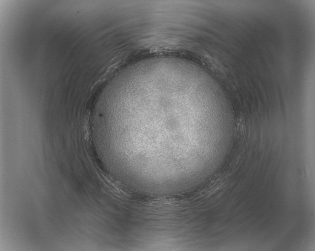 X0000062921012200601271759