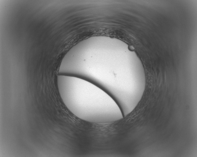 X0000062921013200601271759