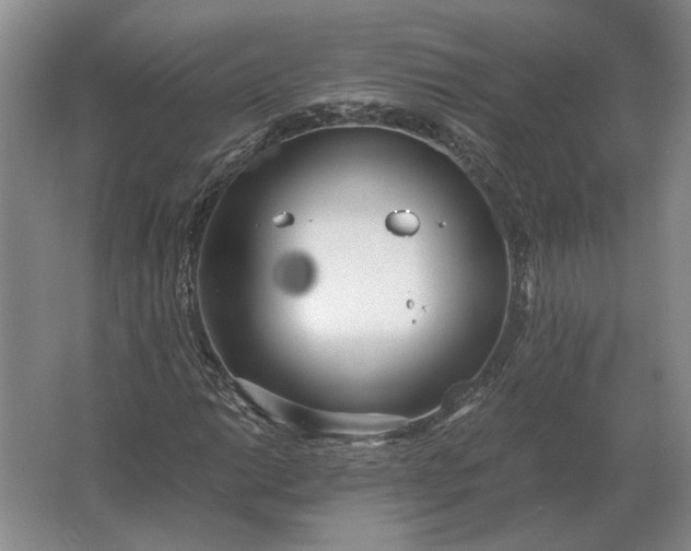 X0000062921014200601271800