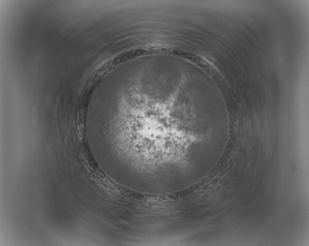 X0000062921015200601271800